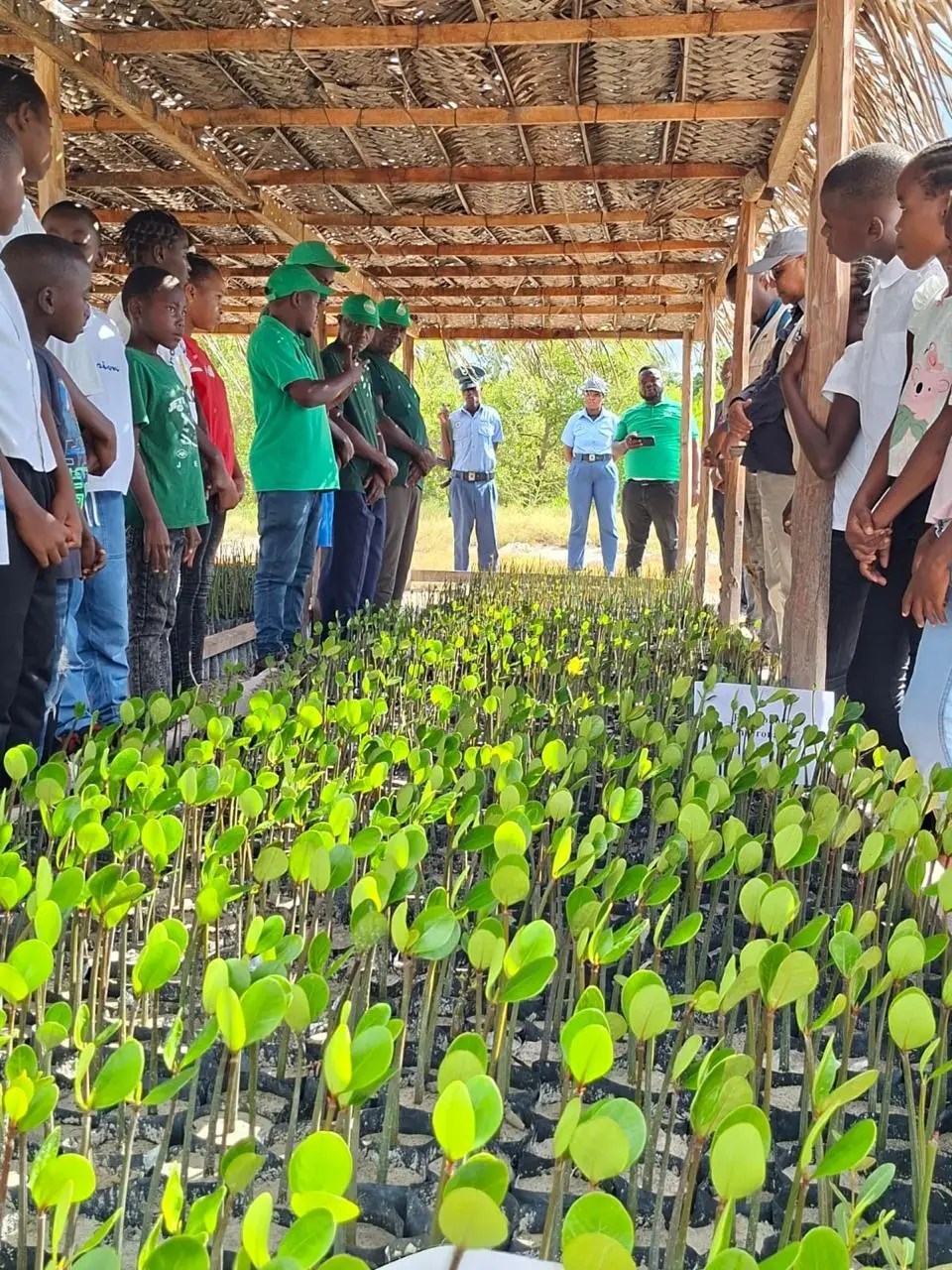 Crianças e jovens numa actividade ambiental