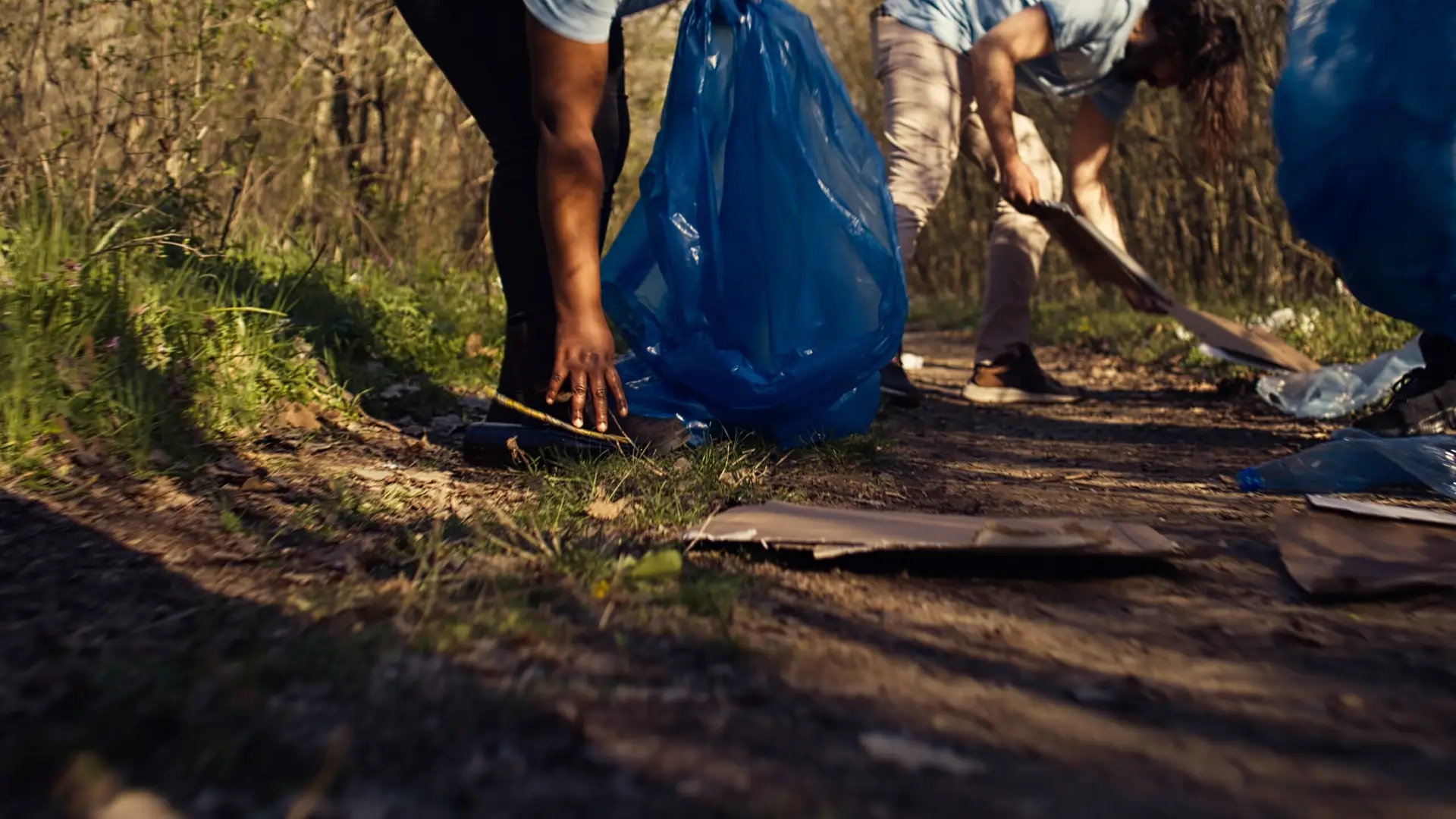 Restauração de Ecossistemas e Conservação